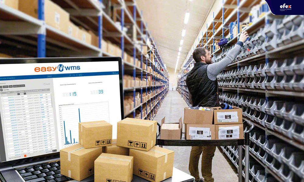 Who-is-a-Warehouse-Management-System-for.jpg