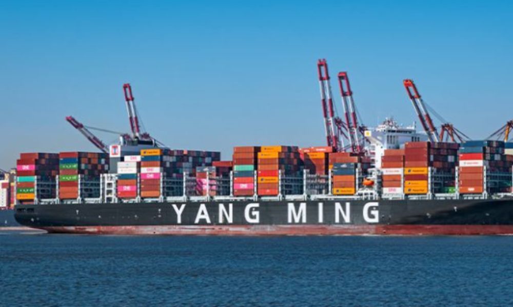 yang_ming_shipping_line_shipments_08509affb1.jpg