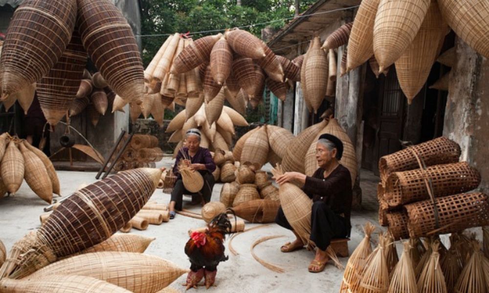bamboo_and_rattan_ec0cc7fc7a.jpg