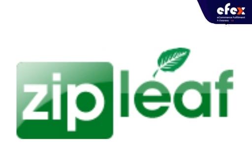 zipleaf1.jpg