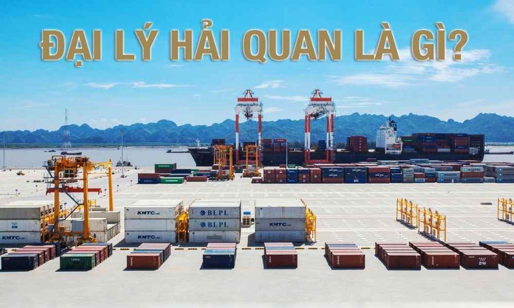 dich_vu_dai_ly_hai_quan_la_gi_56908835fe.jpg