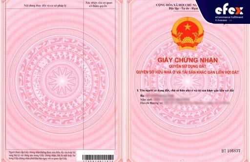 The-Pink-Book.jpg