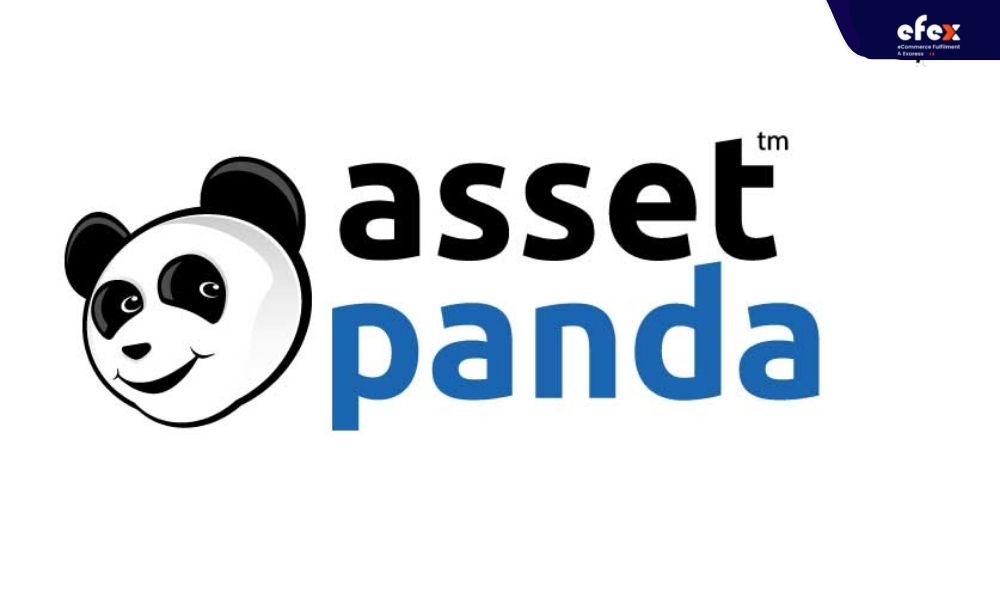 Asset-Panda.jpg