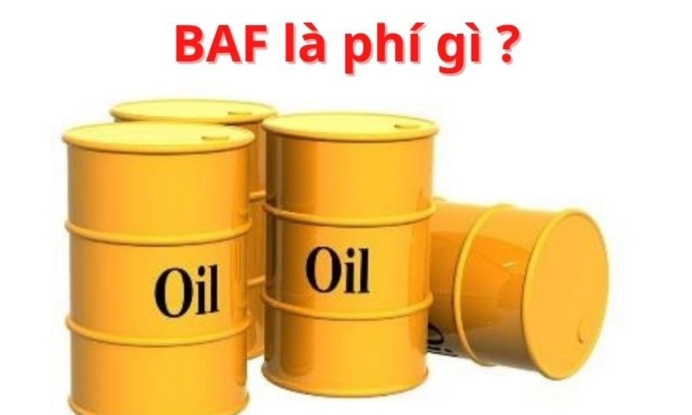 tim_hieu_baf_la_phi_gi_f23b7276af.jpg