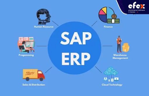 Capable-to-promise-in-SAP.jpg
