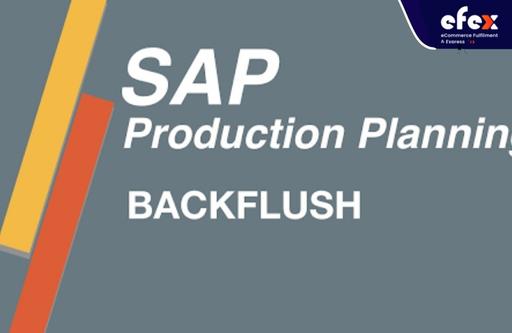 Backflush-in-SAP.jpg