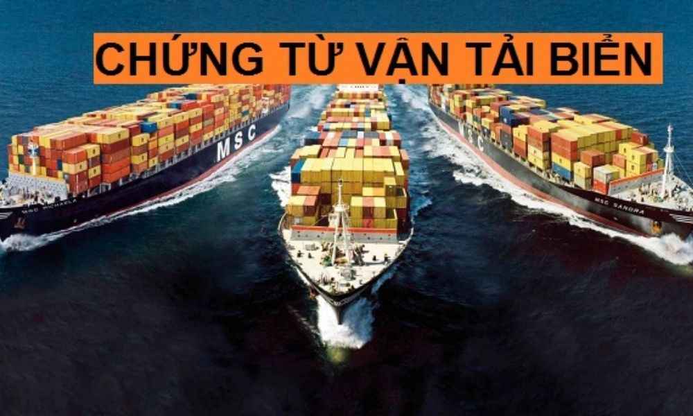 vai_tro_chung_tu_van_tai_b892109d78.jpg