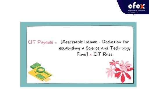cit-payable-formula.jpg