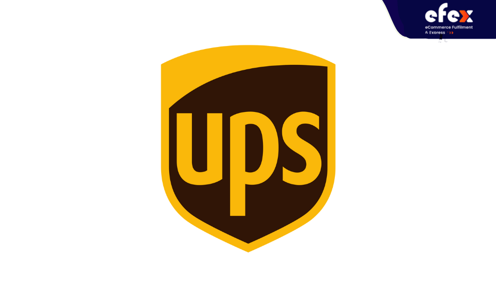 Website-efex-2022-04-14T085127.842-min.png