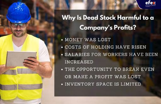 What-is-dead-stock-1.jpg